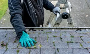 Skuteczne sposoby, jak pozbyć się mchu z dachówki i chronić dach