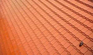 Dachówka karpiówka w koronkę – ile sztuk na m2 i jak je montować?