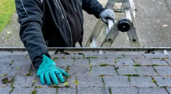 Skuteczne sposoby, jak pozbyć się mchu z dachówki i chronić dach