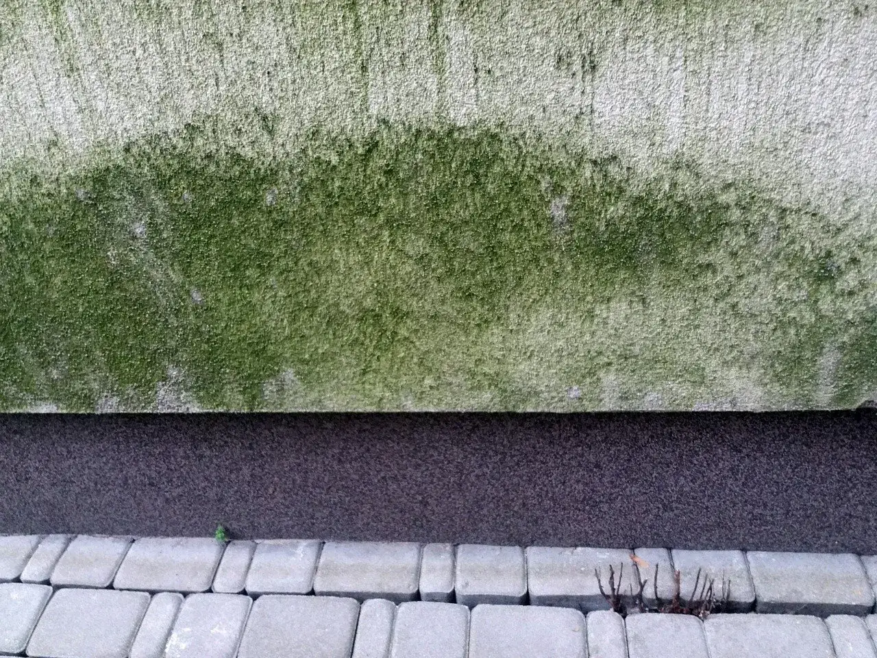 Zdjęcie Jak skutecznie usunąć mech z elewacji? Sprawdzone metody i porady